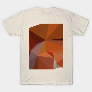 Warm Abstract T-Shirt